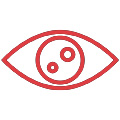 Visão